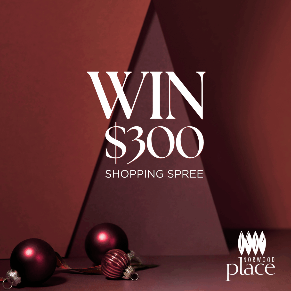 NP Christmas Comp 1080x1080 FA